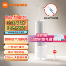小米（MI） 米家电动冲牙器2 家用洗牙器美牙仪 牙齿冲洗器清洁器 口腔护理  3档模式 专业微气泡喷嘴长续航 米家电动冲牙器2【升级款】