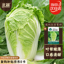 北蔬 白菜种子种苗北方山东早熟秋季蔬菜种籽 胶州大白菜种子约2000粒