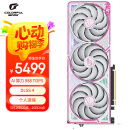 七彩虹（Colorful）iGame GeForce RTX 5070  Ultra W OC 12GB GDDR7 DLSS 4 电竞光追游戏设计电脑显卡