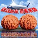 山中玉文玩核桃狮子头手把玩古麻核桃核头蛤蟆手盘把件男女送圣诞礼物 新手级38-39白狮子1对+工具5件