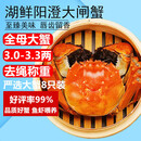 【活蟹】湖鲜阳澄 大闸蟹 去绳足重 全母3.0-3.3两 8只 鲜活中秋节超大螃蟹海鲜礼盒装