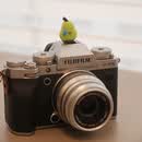 埠帝新品 适用尼康ZF真皮手柄 防脱手 Nikon zf保护套复古相机包 相机配件 ZF真皮保护套（手柄款）+ 真皮垫肩调节肩带+有压