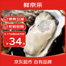 鲜京采【活鲜】生蚝净重5斤 5XL 9-12只左右 源头直发 海鲜水产