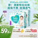 帮宝适清新帮拉拉裤XL码62片 尿裤尿不湿 夏季超薄透气干爽