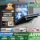 西门子（SIEMENS）黑魔镜636ProMax15+2套 全面升级双一级认证超省水省电AI智能洗17套嵌入式洗碗机SJ43EB33KC