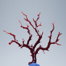 DL 1998胖东来同款珊瑚摆件天l然红树形 赤血红阿卡树形摆件宽12 23.11克