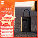 小米米家充气宝2D