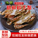 【保鲜不保活】拾鲜生 舟山海捕梭子蟹3斤 5-7两/只 100%活发 公母混发 源头直发 包邮