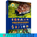 [按需印刷]中国近海软体动物图志 科学出版社