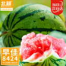 北蔬 西瓜种子种籽苗麒麟8424冰糖甜西瓜南北方四季 8424西瓜种子60粒