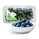 【农户直通车】丹东鲜枝串蓝莓200g(单果14mm)