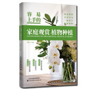 容易上手的家庭观赏植物种植 花卉日常养护及病虫害防治知识 花卉种植技巧病虫害防治技术书籍