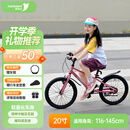 途锐达（TOPRIGHT）京东自营超轻蜂鸟儿童自行车8-12岁女孩单车宝宝骑行脚踏车20寸粉