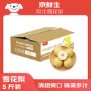 京鲜生 河北雪花梨 净重5斤 单果200g+ 雪梨 生鲜水果 源头直发