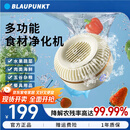 蓝宝BLAUPUNKT果蔬清洗机食材净化机无线便携式水果蔬菜家用食材净化机小型全自动清洗蔬菜去农残 白色
