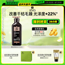 吕（Ryo）黑吕奢养头皮洗发水滋养强韧灵芝松茸洗头膏400ml