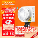 神牛（Godox）ML100Bi摄影灯双色温可调便携夜拍灯人像补光灯户外控制室电影视频摄像灯  ML100Bi【官方标配】