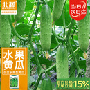 北蔬 水果黄瓜种子苗青瓜夏盆栽菜籽 卓脆潍胖二号水果黄瓜种子100粒