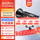 神牛（Godox）补光灯sl200biw双色温摄影常亮灯直播补光灯视频直播补光灯直播人像拍照美颜柔光灯影视灯 SL200BI单灯 官方标配