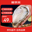 鲜京采【活鲜】生蚝净重5斤 5XL 9-12只左右 源头直发 露营烧烤