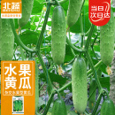 北蔬 水果黄瓜种子苗青瓜春盆栽菜籽 卓脆潍胖二号水果黄瓜种子100粒