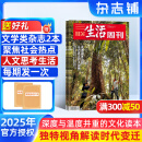 期期包邮 三联生活周刊杂志 2025年6月起订阅 1年52期 每期快递1次 时政热点新闻报道 杂志铺 一种生活态度 每期主题鲜明 深入探讨当下热点话题 报道社会热点 传递新闻资讯