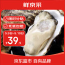 鲜京采【活鲜】生蚝净重5斤 5XL 9-12只左右 源头直发 露营烧烤