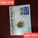 【二手9成新】杂草种子彩色鉴定图鉴 /郭琼霞 中国农业出版社