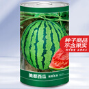 大禹懒汉西瓜种子苗特大适合南方早熟懒人8424麒麟瓜美都无籽水果蔬菜 美都西瓜种子 600粒/桶