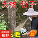 环嗪酮除树死树剂大树烂根的专用药除草剂除大树除竹子烂根专用药 正品环嗪酮【5斤】