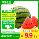 京鲜生 麒麟西瓜 1粒净重5-6斤 端午水果 源头直发【搜生鲜馆】