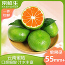 京鲜生 云南青皮蜜桔4.5斤装  果径55mm+ 新鲜酸橘桔水果 源头直发包邮