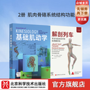 基础肌动学 : 第4版（新版） 运动康复 物理治疗 北京科学技术 解剖列车（第4版）＋基础肌动学