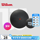威尔胜（Wilson）专业比赛壁球初学训练蓝点红点双黄点罐装壁球 【单颗1红点】WRT617200