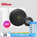 威尔胜（Wilson）专业比赛壁球初学训练蓝点红点双黄点罐装壁球 【单颗1黄点】WRT617300