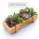 花艺萌多肉植物组合盆栽含盆含土创意diy拼盘花盆肉肉植物室内绿植花卉 随机10个多肉加木盒 含盆