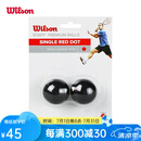 Wilson壁球球单黄点红点双黄点专业壁球训练球初学入门进阶 WRT617700单红点（2粒）