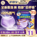 护舒宝考拉散热安睡裤L大码4条安心裤夜安裤裤型卫生巾京东自营官方旗舰