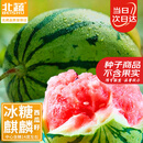 北蔬 西瓜种子种苗冰糖麒麟8424盆栽西瓜籽 冰糖麒麟瓜种子约50粒x3包