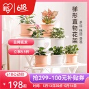 爱丽思（IRIS）花架塑料露台台阶花盆架子园艺用品阳台种菜盆支架花架落地式 WS900白三层宽90*高67*进深75cm