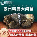 【活蟹】阳澄姐妹大闸蟹 鲜活特大螃蟹公蟹母蟹 海鲜水产生鲜礼盒 精品六月黄3.5-3.8两 八只礼盒装