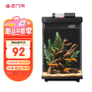 画法几何鱼缸造景 小型鱼缸米家智能鱼缸专用蕨类沉木造景套餐