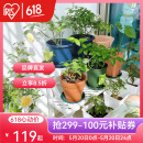 爱丽思（IRIS）花架塑料露台台阶花盆架子园艺用品阳台种菜盆支架花架落地式 FS760W白三层宽75*高60*进深54cm