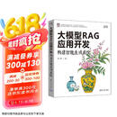 大模型RAG应用开发：构建智能生成系统