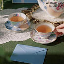 Wedgwood花间舞蝶咖啡杯碟套装两杯两碟精致茶杯碟结婚礼物