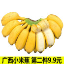 果迎鲜 香蕉 广西小米蕉 5斤装 芭蕉 新鲜水果 生鲜 生果 小米蕉是小的 小芭蕉
