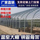 温室大棚骨架钢管养殖种植家用全套猪鸡舍钢架连栋配件简易蔬菜棚 6米宽55米长卷膜版含进口无滴膜