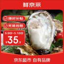鲜京采【活鲜】生蚝净重5斤 3XL 13-18只装 源头直发