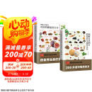 【自营包邮】图解本草纲目对症药膳速查全书+图解本草纲目药茶养生速查全书套装（全2册）