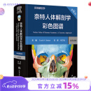 奈特人体解剖学彩色图谱：系统解剖学，第8版 2024年1月参考